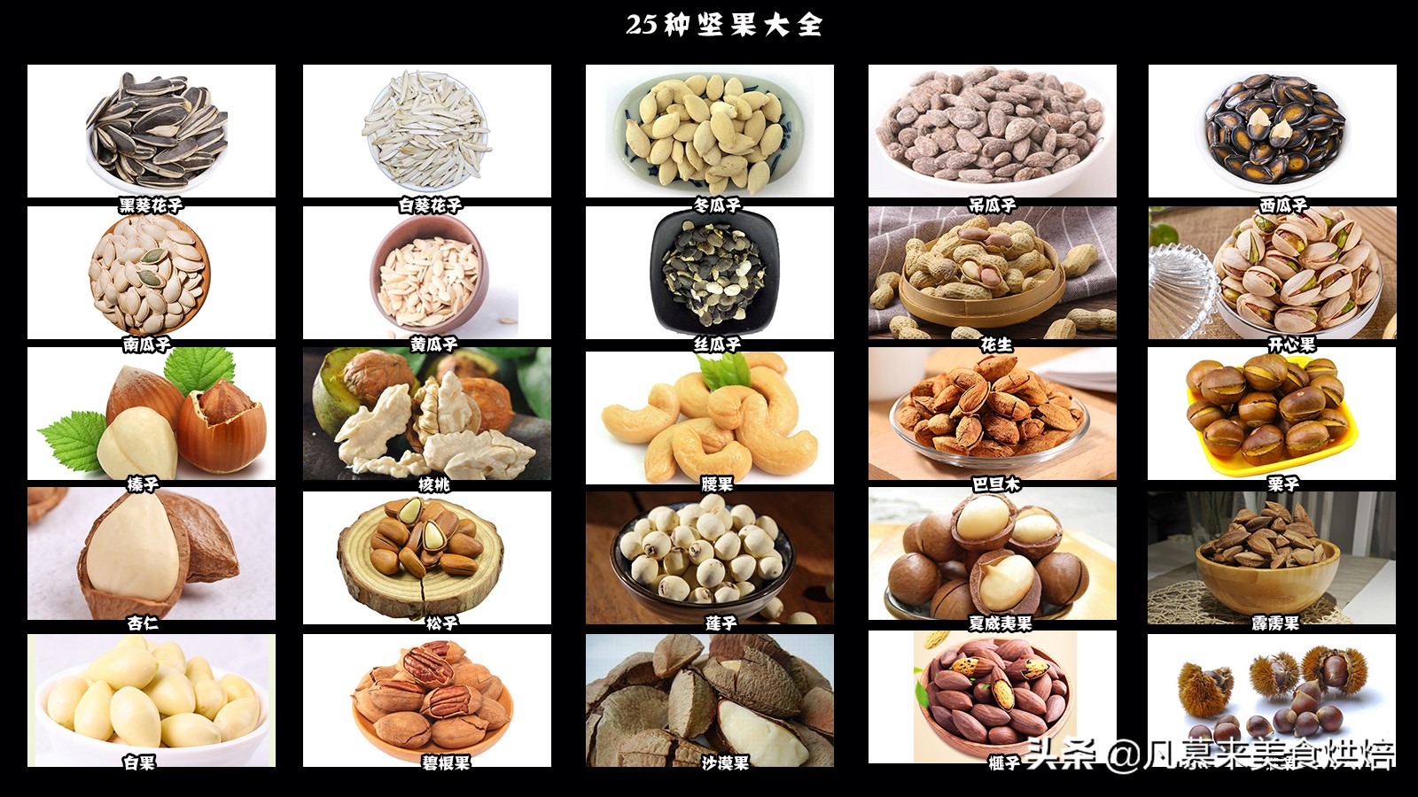 堅果類食品有哪些？25種堅果大全你都認識嗎？堅果的吃法有哪些