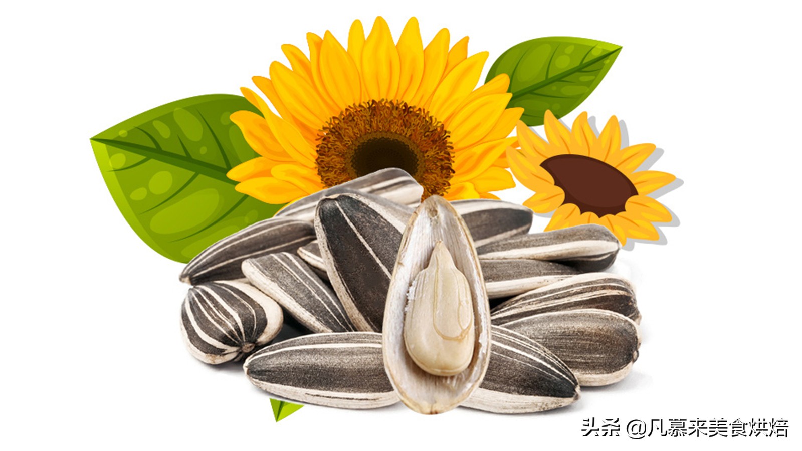 堅果類食品有哪些？25種堅果大全你都認識嗎？堅果的吃法有哪些
