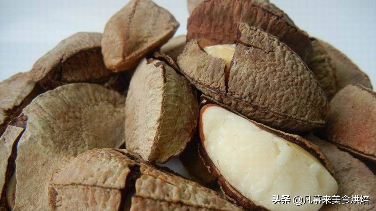 堅果類食品有哪些？25種堅果大全你都認識嗎？堅果的吃法有哪些