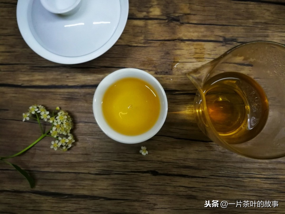 普洱茶正確的沖泡方法?。ǜ韶浗怄i）