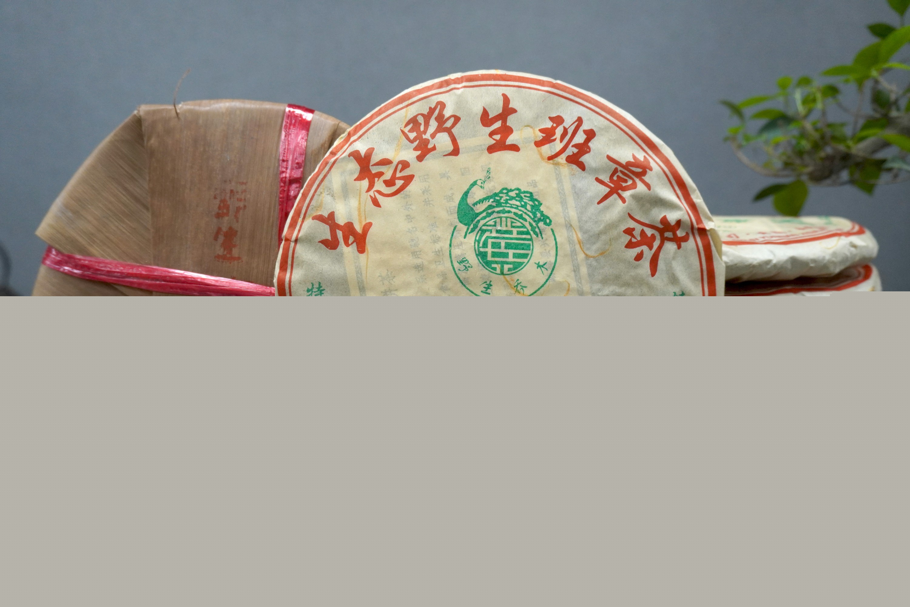 2021普洱茶品牌十大排行榜(普洱茶哪個(gè)牌子好又正宗)2