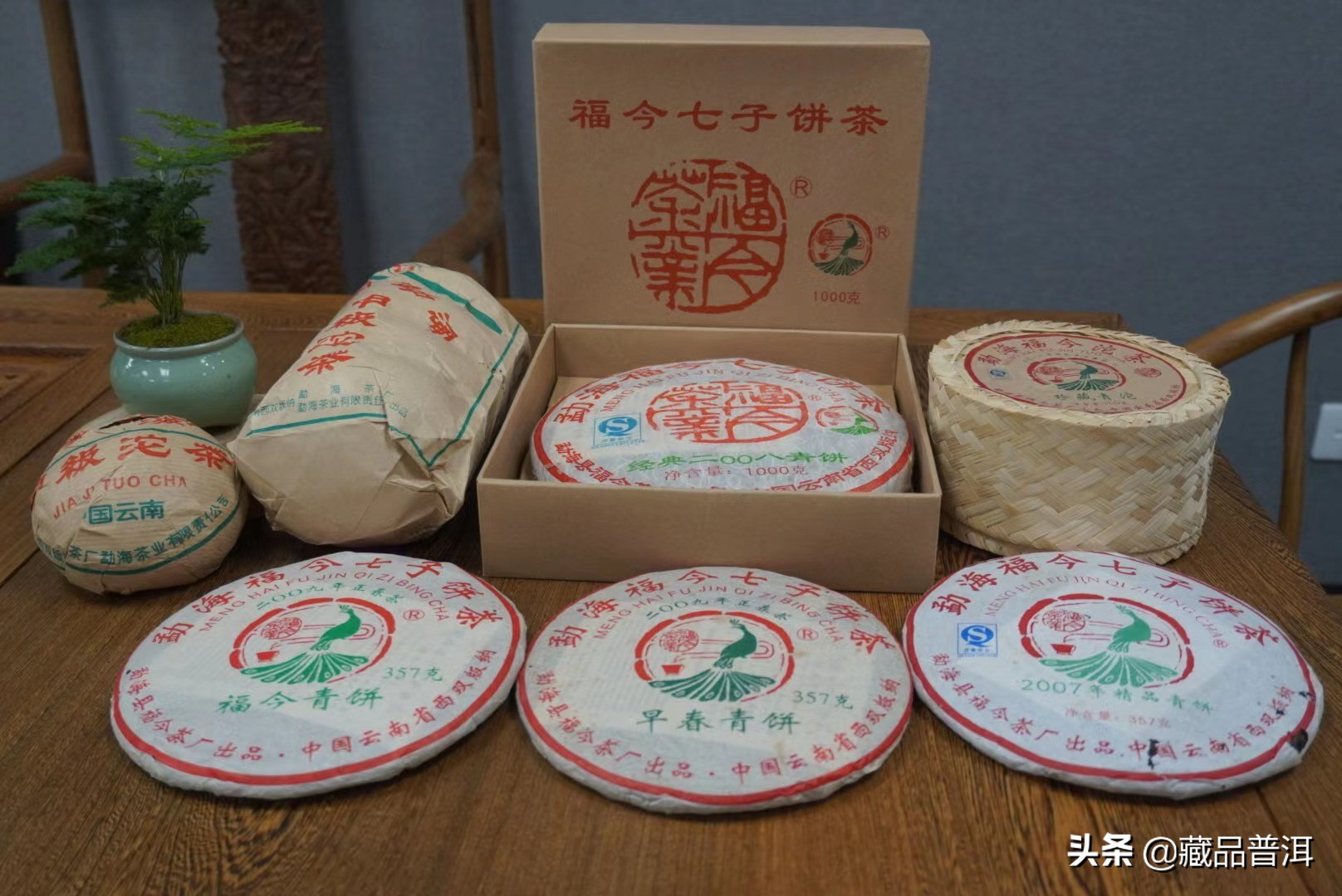 2021普洱茶品牌十大排行榜(普洱茶哪個(gè)牌子好又正宗)9