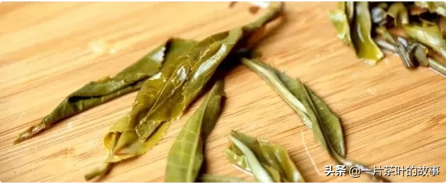 泡普洱茶的正確方法(普洱熟茶正確泡法)