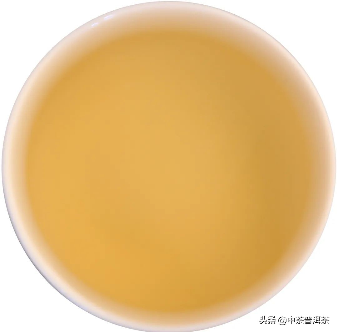 中茶7541普洱生茶怎么樣2