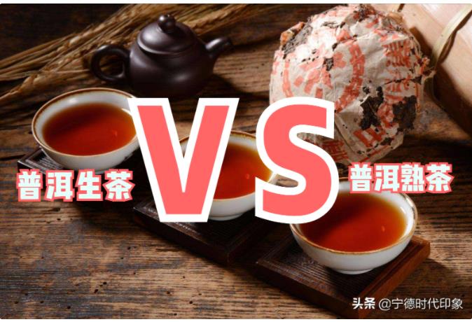 普洱茶功效及禁忌 普洱茶怎么泡