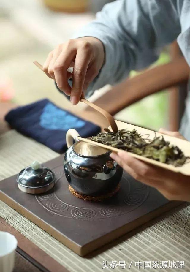 茶餅怎么弄開(茶餅應(yīng)該怎么開)