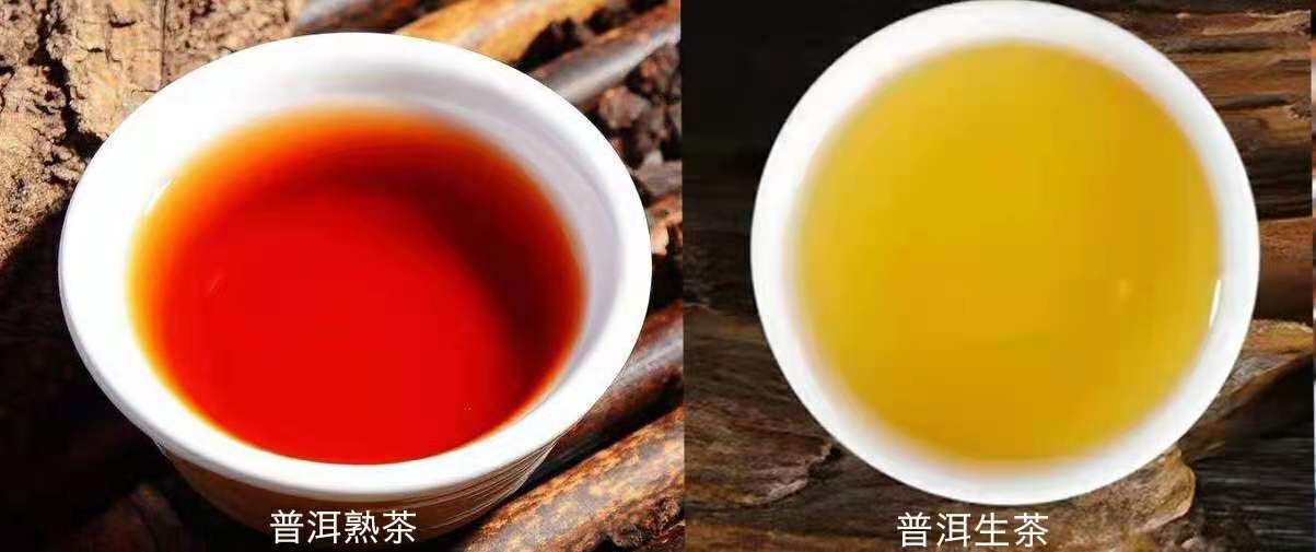 普洱茶屬于什么茶種(普洱是什么茶是紅茶綠茶還是黑茶)