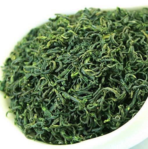 嶗山綠茶的功效與作用(嶗山綠茶飲用禁忌)