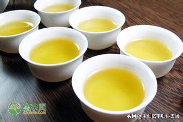 名茶碧螺春的產(chǎn)地是哪里（名茶碧螺春產(chǎn)地在哪個省）