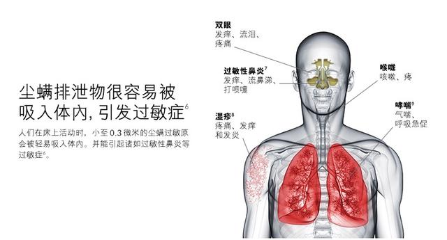 三款除螨儀測(cè)評(píng)，哪一款更值得購(gòu)買？