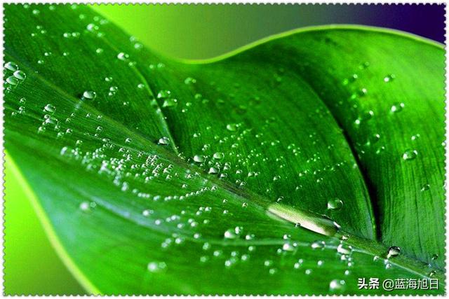 投資10萬元創(chuàng)業(yè)，他選擇了這幾類生意，每天有200多元的收益