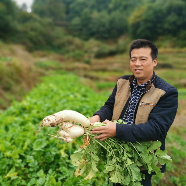兩名“80后”創(chuàng)業(yè)故事:“扶貧菜”讓空巢老人過(guò)上好日子