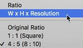在Photoshop CC中使用裁剪和調(diào)整照片大小