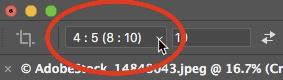 在Photoshop CC中使用裁剪和調(diào)整照片大小