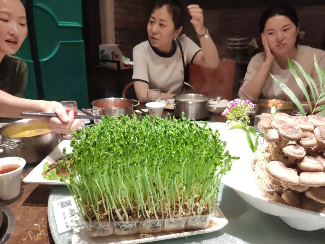 三四斤重的斑魚，只能削出40片魚片？無錫這家西北火鍋，不一般！