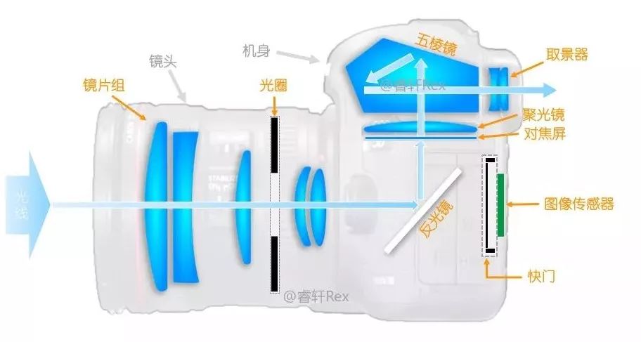 單反單反，到底什么是單反？