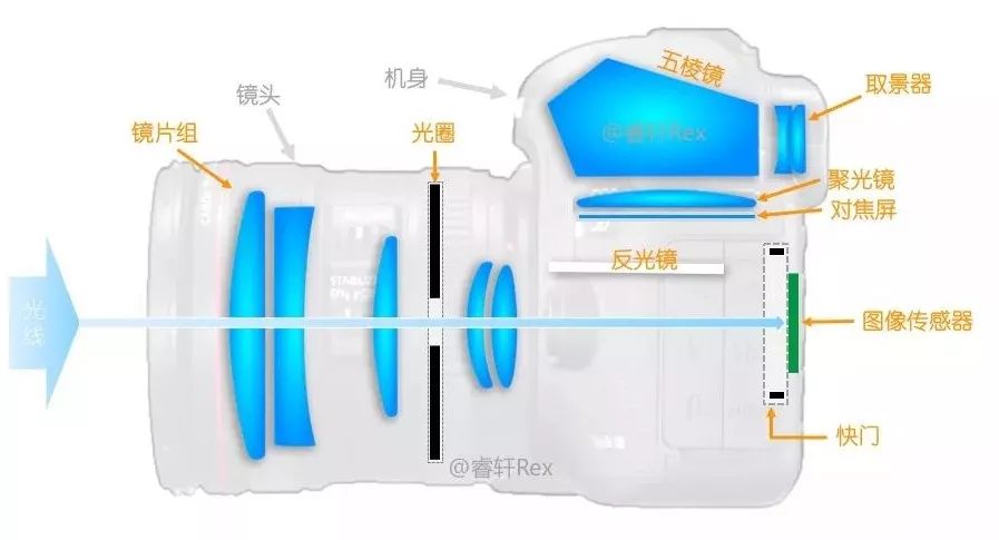 單反單反，到底什么是單反？
