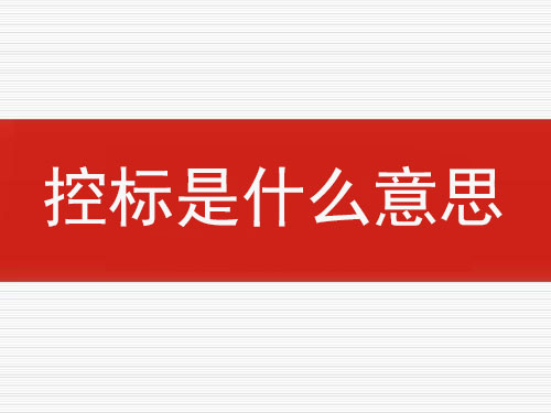 控標(biāo)是什么意思